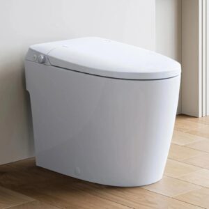 T30 Bidet Toilet with Non-Electric Seat and Pressure-Assisted System