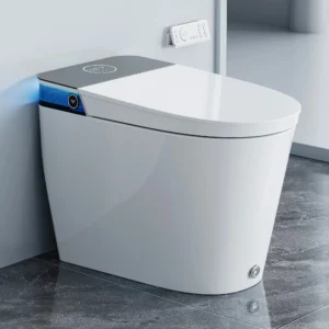 Smart Toilet with Flush Tank and ADA Compliance for 12 Inch Rough In Model T38P HOROW