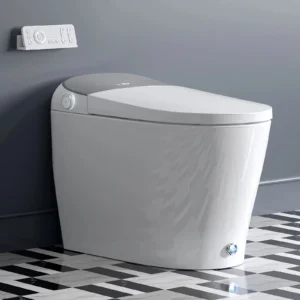 Can’t-Miss HOROW T03PL Bidet Toilet with Hands-Free & Auto Flush